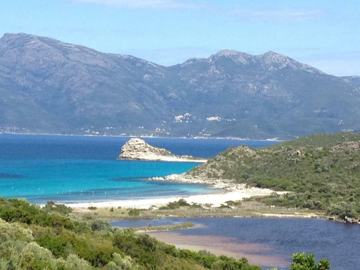 T3 La Salamandre Saint-Florent (Corsica) Exterior photo